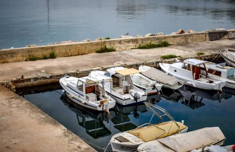 Maslinčica - Foto 19