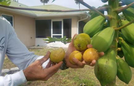 Beautiful Vacation Home Across From Lake Okeechobee - Foto 95