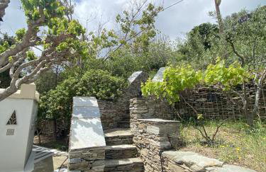 Andros Vineyard house with sea view - Foto 24