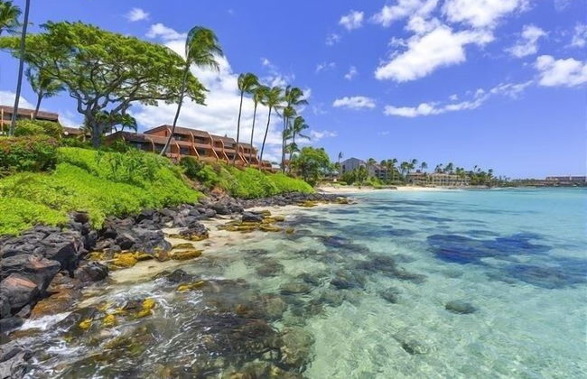 Kuleana 405 Oceanfront 1Bedroom 1 Condo by RedAwning - Foto 48