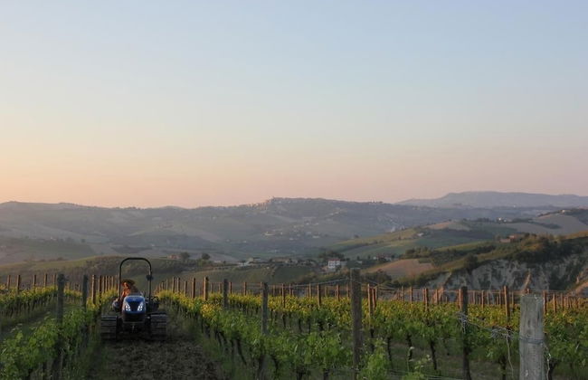 Agriturismo San Michele - Photo 47