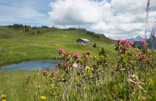 Apartment in Damuls Near Ski Slopes - Photo 27