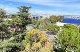 House Samaniego 12 - Photo 45