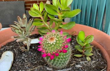 Anzio (RM), zona Santa Teresa - Photo 22