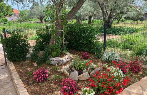 Sweet studio - Foto 7