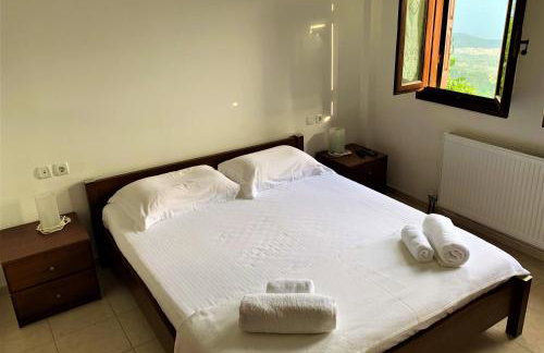 Traditional House Makrinitsa - Foto 17