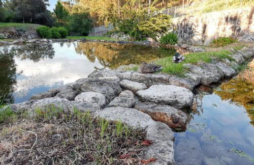 Charming House in Covelas with Pool and Mountain View - Foto 40