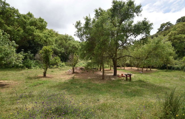 Quiet & Cottage in Estate Casas da Cerca near Troviscais - Foto 14