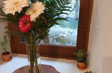 Moinho das fragas - Foto 9