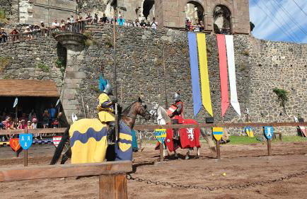 Le poulailler - Foto 22