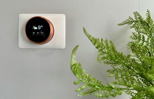 Sandringham House Serene Escape Cottage - Photo 44