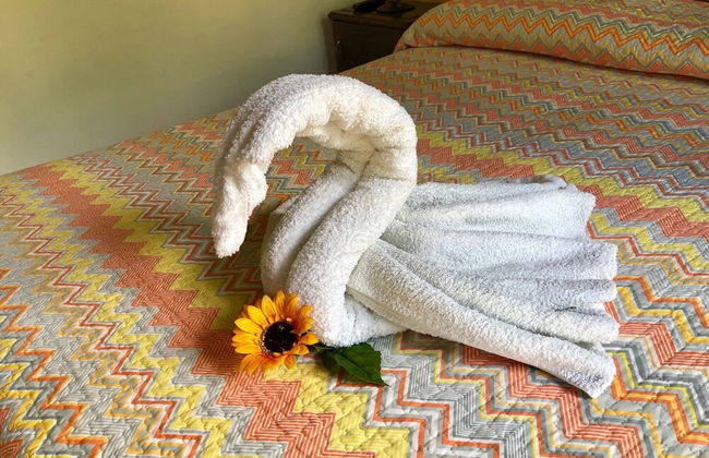 Affittacamere Paduli Piani - Photo 19