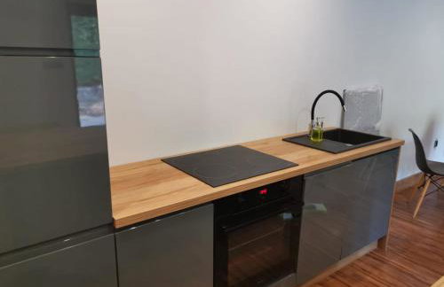 APARTAMENT NAD JEZIOREM - Foto 15