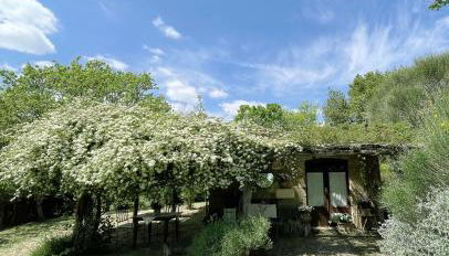 Agriturismo locanda settimo cielo - Foto 4, Garden view