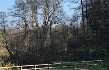 Halfmoon Lodge @ Knights Hole wheelchair access - Foto 9