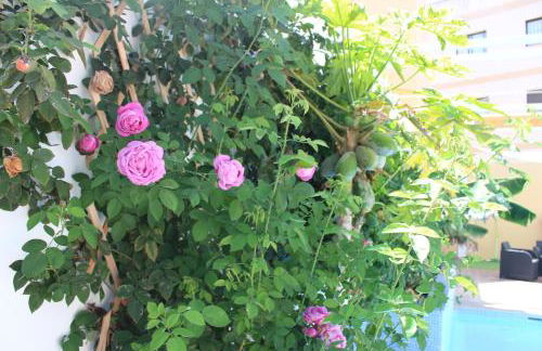 CASA EL OLIVO, TENERIFE - Foto 28