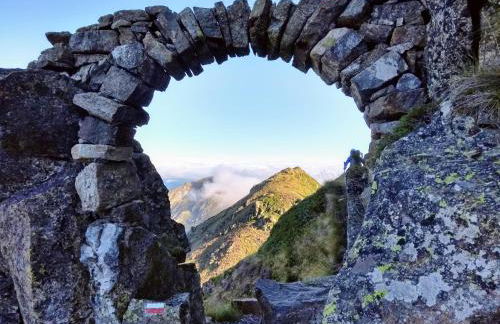 Le Nopal Bleu - Foto 41