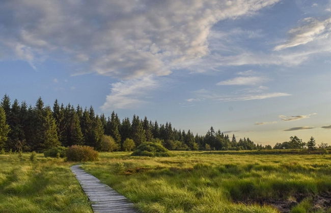 Eschfeld Sauna Apartment - Foto 20