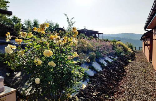 Agroturystyka Faron - Foto 20