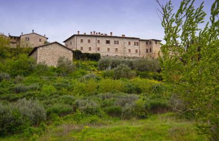 L'angolo delle More - Foto 21