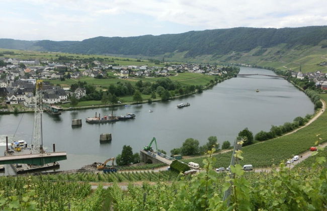 in Landhuisstijl met Uitzicht op de Moezel - Photo 8