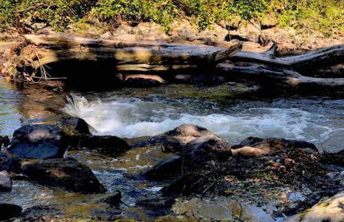 Wohnen direkt am Moselstrand - Foto 65