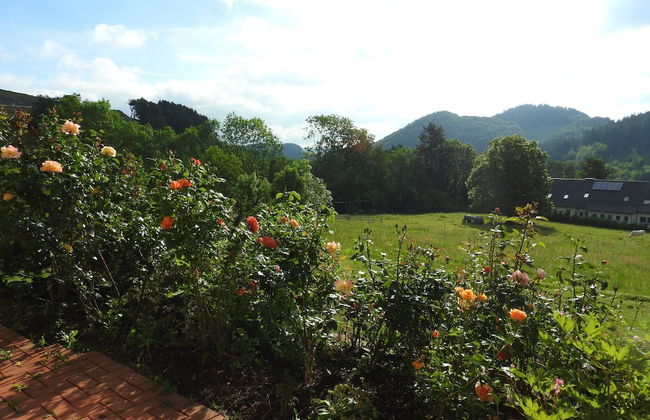 Wohnung in Deifeld mit Garten - Photo 21
