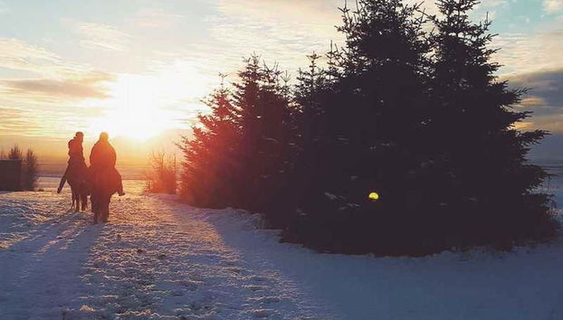 Paseando en caballo con nieve