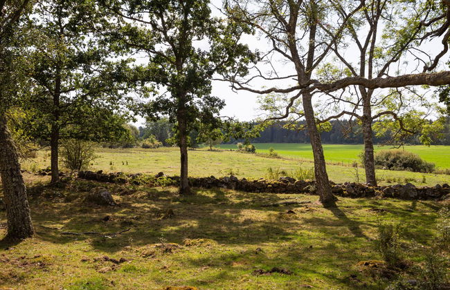 4 bedroom House in Johannishus with garden - Photo 26