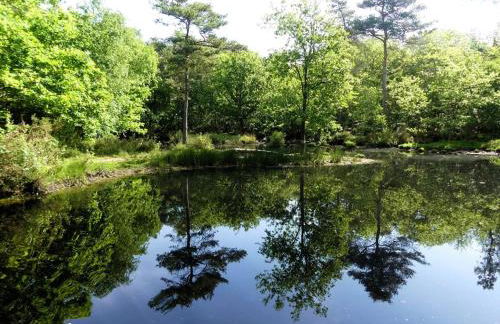 Le Manège - Foto 10