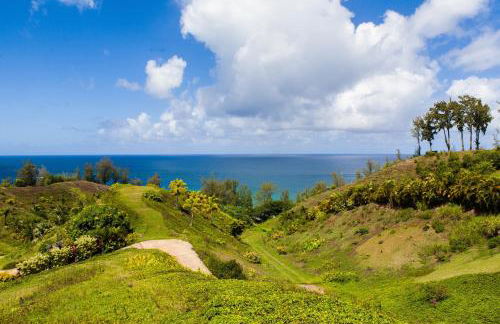 Hale Nanea 1 Bedroom Home by RedAwning - Foto 36