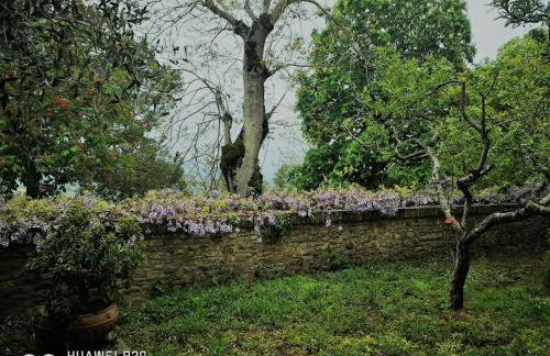 "Il Pollaio" guests house - Foto 57