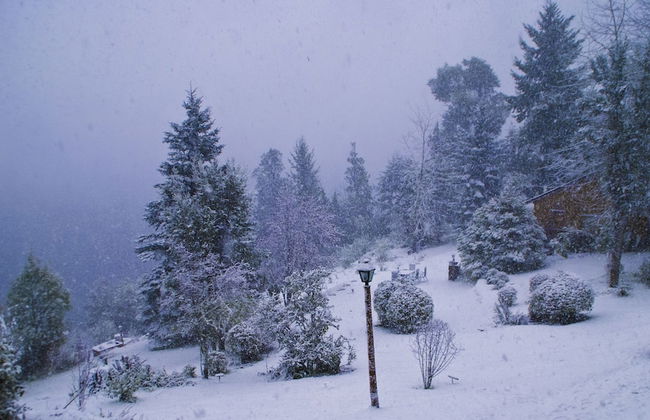 Cabañas Villa Pañil - Foto 76