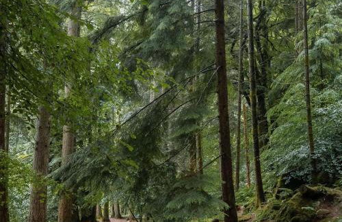Heilan Roo - Photo 45