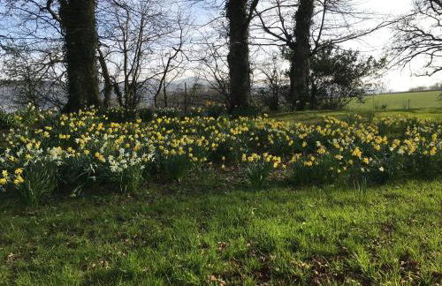 Meadow Sweet Cottage - Photo 8