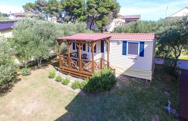 Iva - Great Garden - H - Photo 19