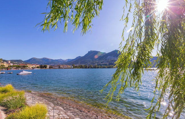 Novos Emerald - Foto 16