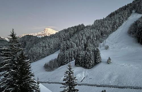 2-bed appt 20 mins from Morzine Portes du Soleil French Alps - Foto 48