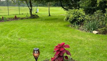 Romantic Greenhouse - Foto 4, Garden, Garden view