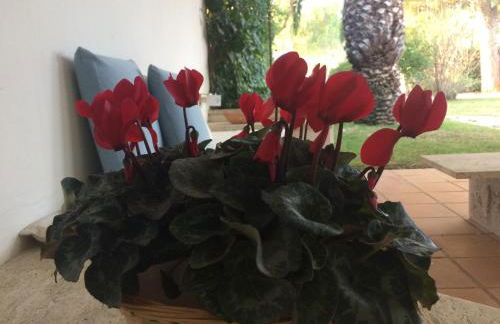 A casa di Maurizio - Foto 19