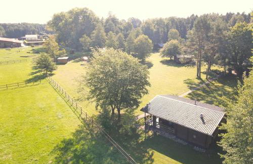 Ferienhaus mit Terrasse - Foto 42
