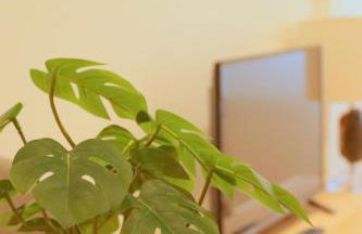 Rocamar Centro Playa San Lorenzo - PARKING GRATUITO - Foto 17