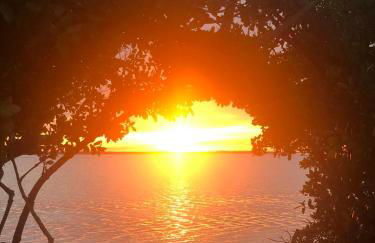 Island Paradise Awaits You - Foto 72