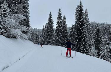 Duplex skis aux pieds centre village - 6 couchages - 2 salles de bain - Foto 19