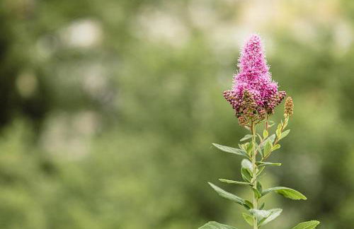 Agriturismo L'Essiccatoio - Foto 57