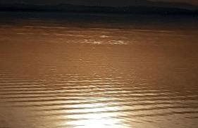 Le Rondini - Photo 37