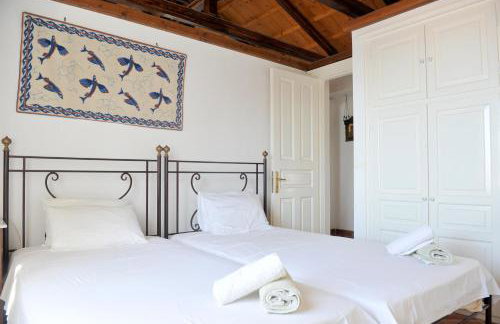 Hydra Erato - Foto 67