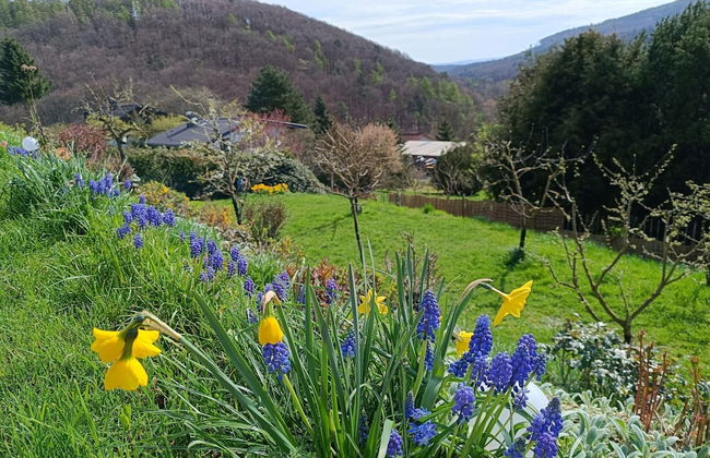 Ferienwohnung mit Bergblick - Foto 32