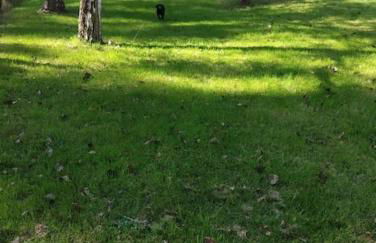 Cottage chaleureux au calme - Foto 15