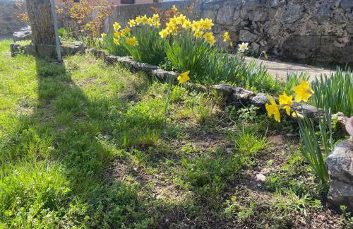 Casa Sarrano - Foto 59